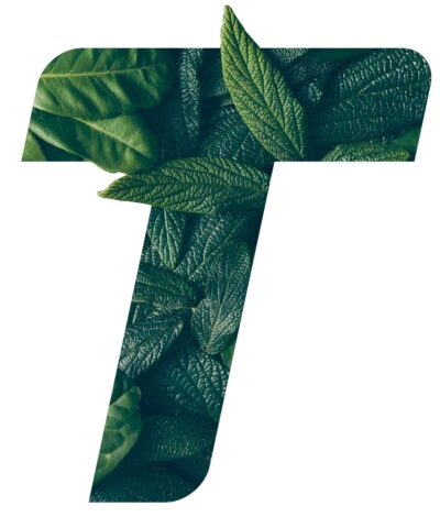 t-foglie t-foglie